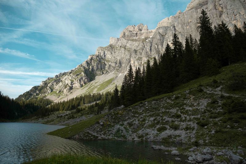 Bergsee mit steiler Bergwand und Gipfeln im Vordergrund mit grünen Tannen im Sommer