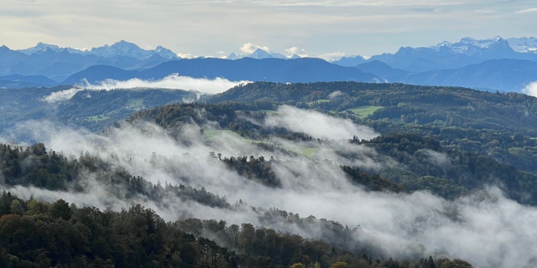 Waldbaden