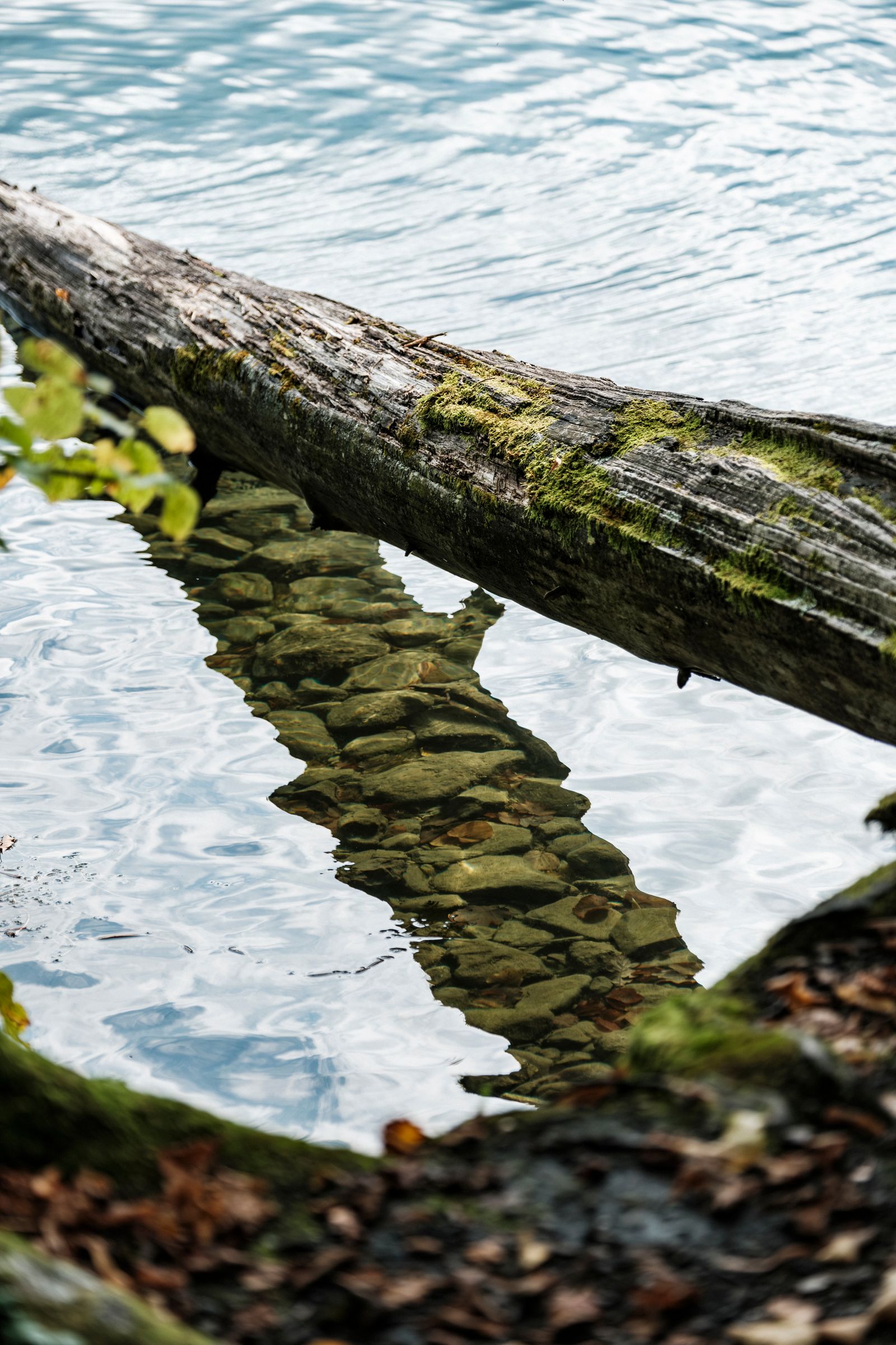 Mini Retreat - Deine Routine